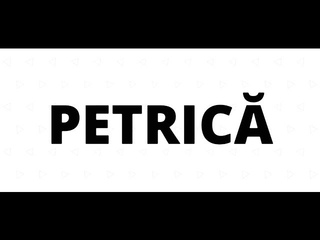 Gicu Boievicu -  Petric (Official Lyric Video)