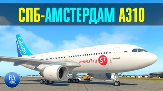 X-plane 11 | Санкт-Петербург ULLI - Амстердам EHAM | iniBuilds A310 | Катастрофа из-за обледенения