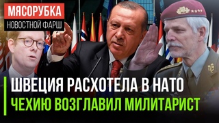 Эрдоган решил «сузить» НАТО || Злой генерал стал президентом Чехии || США умоляют арабов о санкциях