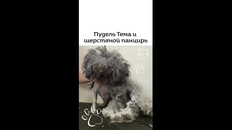 Бедный малыш жил у хозяйки алкоголички, которая совсем не